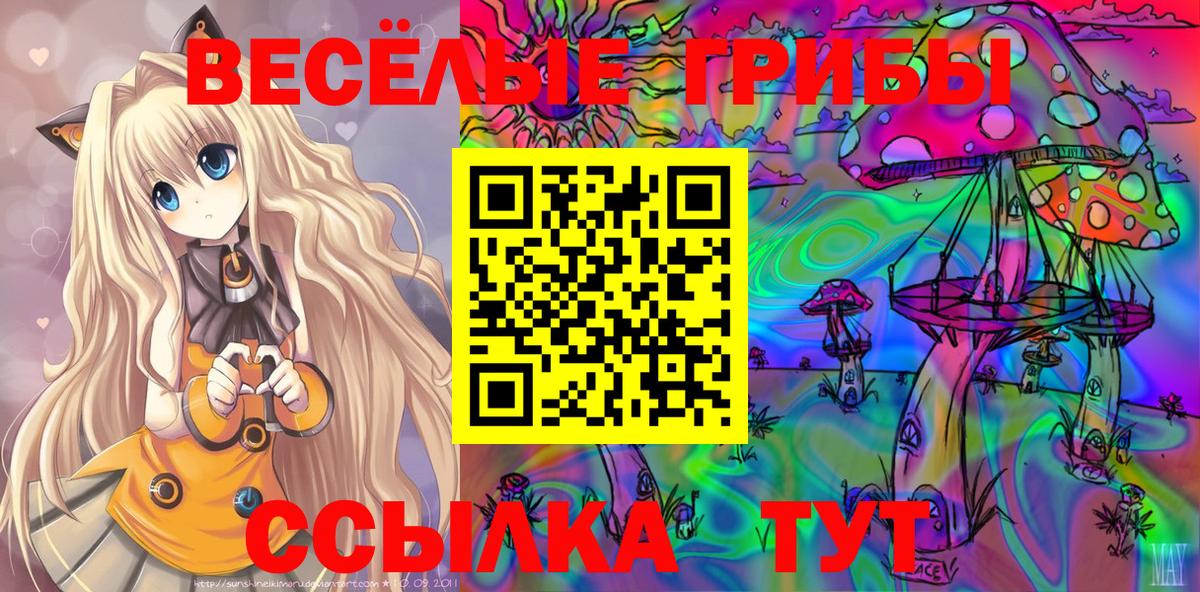 Псилоцибиновые грибы прущие грибы  купить закладку  Псилоцибиновые грибы прущие грибы  Кызыл  Вход с VPN 