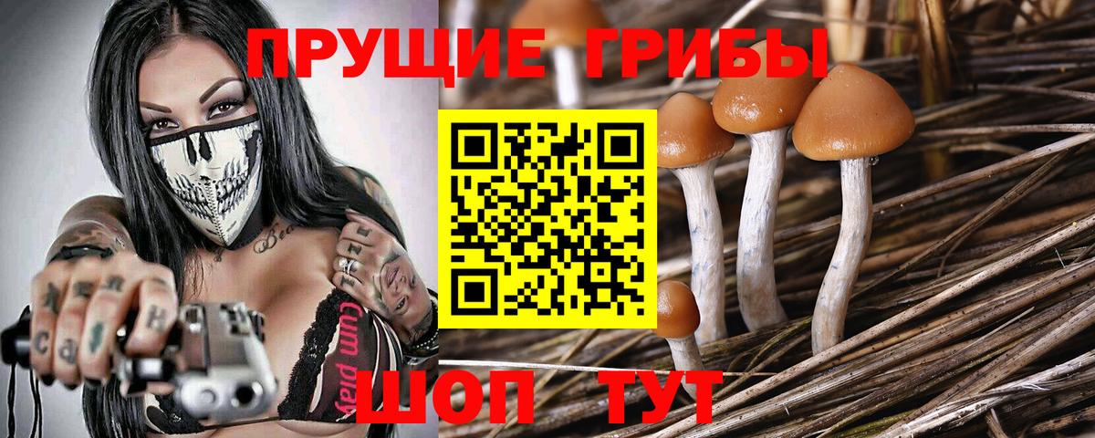 Псилоцибиновые грибы ЛСД Кызыл